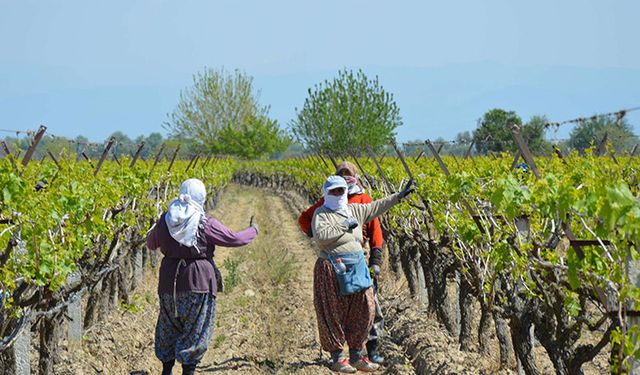 Tam kapanmada çiftçiler nasıl çalışacak?
