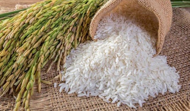 TMO çeltik alım fiyatlarını revize etti işte yeni alım fiyatları!