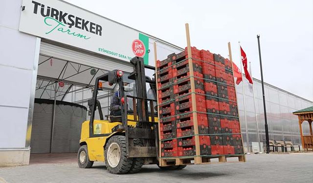 Türkşeker’den şeker gibi domates!