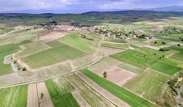 Amasya ve Tunceli’de arazi toplulaştırması yapılacak!