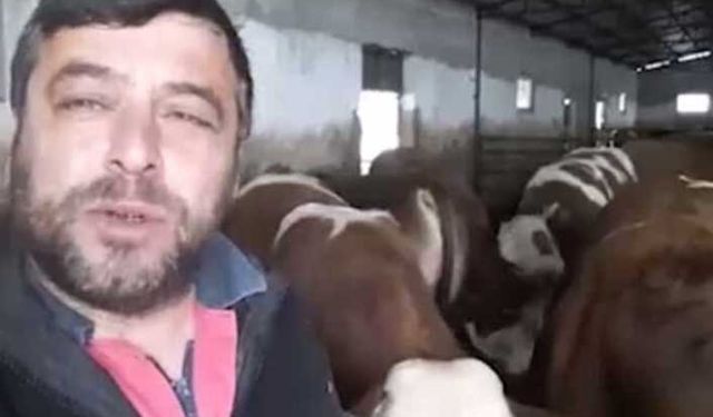 Besici ve süt üreticisi yem grevine gidiyor!