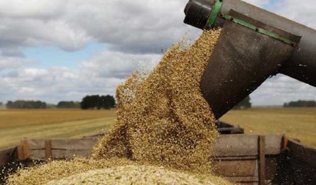 Buğday ve arpada tedirgin bekleyiş! TMO farklı fiyat oluşumlarına müsaade etmeyeceğiz!
