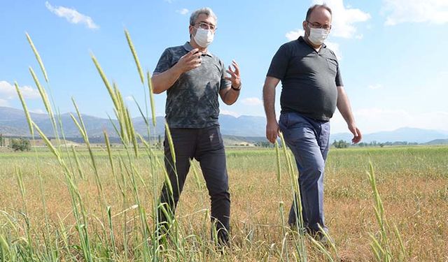 Burdur Ticaret Borsası'ndan kuraklık uyarısı: Hükümet acil girdi maliyetlerine müdahale etmeli