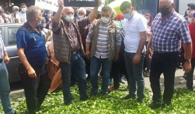Çay üreticilerinin kota tepkisi: Çayı yola döktüler
