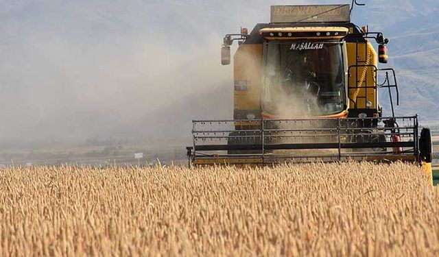 Çiftçi buğdayda dekara ne kadar destek alıyor?