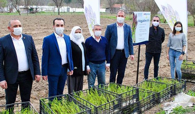 Eskişehir kuşkonmaz üretimini daha ileri noktalara taşımak istiyor