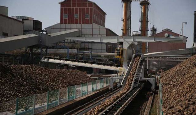 Şeker fabrikaları özelleştirme kapsamından çıkarılarak Varlık Fonu'na devredilecek