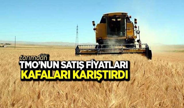 TMO’nun hububat satış fiyatı kafaları karıştırdı