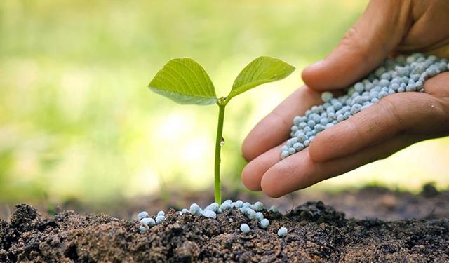 TÜİK, Tarım Bakanlığı ve TZOB gübrede anlaşamadı!