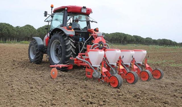 Türk tohum firmaları tarafından üretilen ayçiçeği tohumlarının deneme ekimleri yapıldı