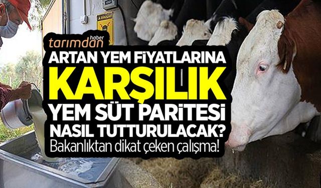 Artan yem fiyatlarına karşılık 1.3 yem süt paritesi nasıl tutturulacak?
