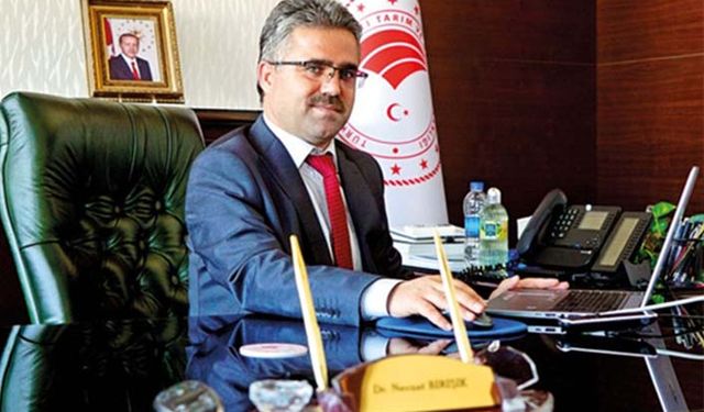 Ayaş domatesi tohumu 3 yerde yedekleniyor!