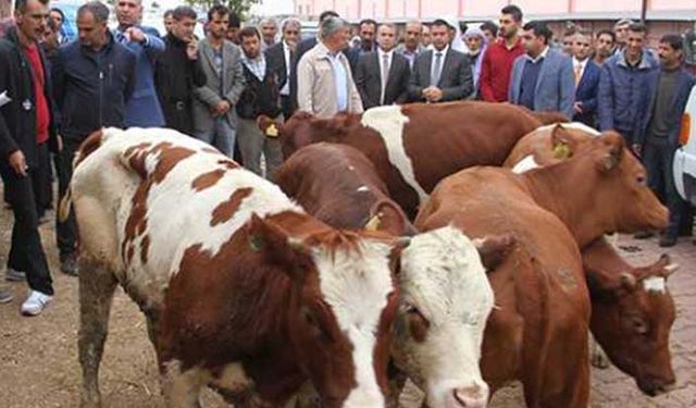 Genç Çiftçi Projesinin etki analiz sonuçları kamuoyu ile neden paylaşılmıyor?