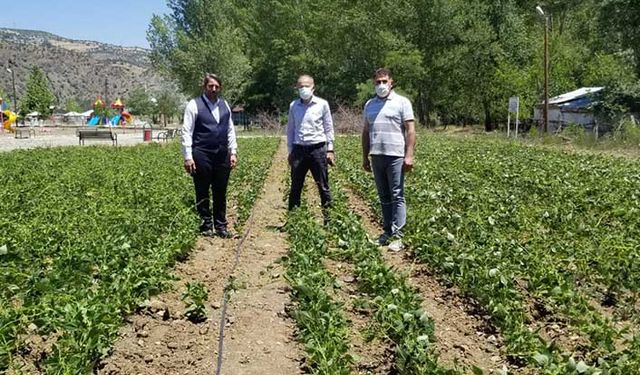 Giresun'da çiftçinin üretme heyecanına ek yatırım!