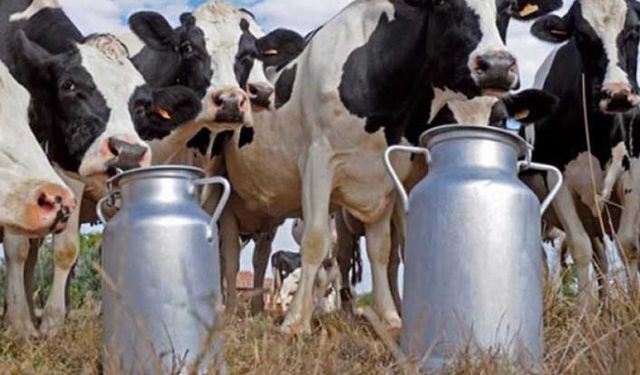 Sütte sanayicinin düşük fiyat oyunu Rekabet Kurumu'na taşınıyor!