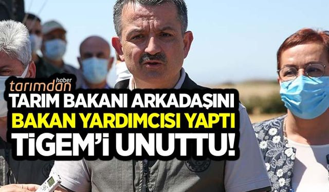 Tarım Bakanı arkadaşını Bakan Yardımcısı yaptı TİGEM’i unuttu!