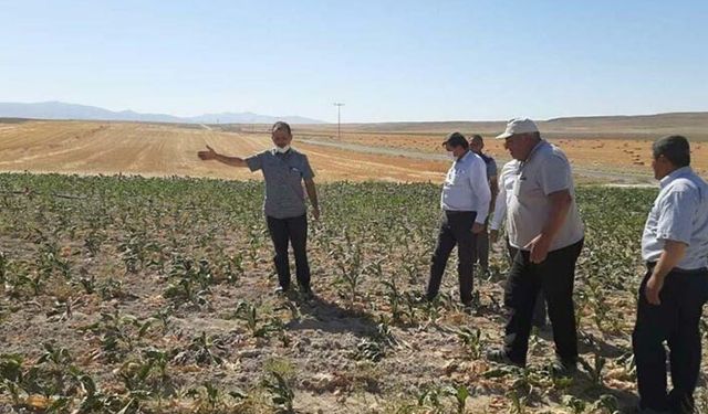 Danıştay'dan tarımsal destekler için önemli karar! Desteklerden artık gelir vergisi kesilmeyecek!