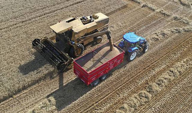 Edirne’de buğday hasadı yapıldı