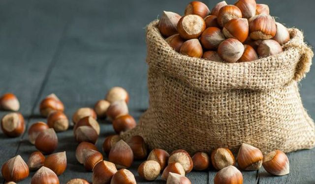 Fiskobirlik’ten fındıkta rekolte açıklaması