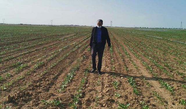 Konya Şeker’den 57 milyon lira avans ödemesi