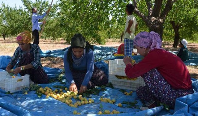 Malatya'da TZOB yönetim kurulu üyesine yevmiye tepkisi!