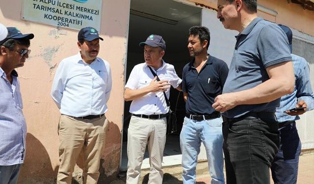 Proje onaylandı binlerce ton yem bitkisi paketlenecek