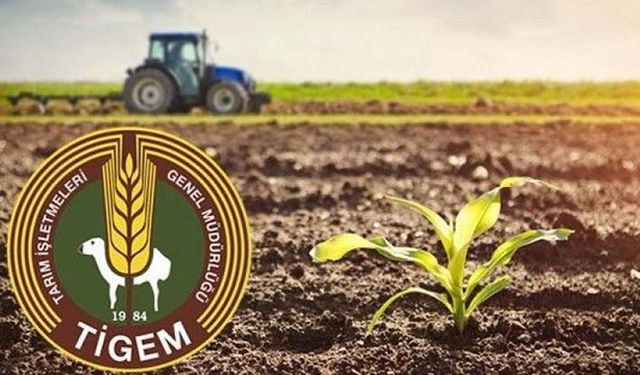 TİGEM yönetim kurulu Savcılığın İsmail Şanlı ile ilgili vereceği kararı bekliyor!