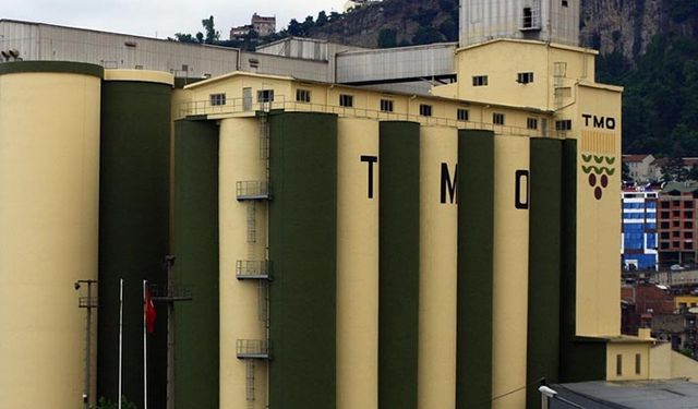 TMO'dan hasat döneminde 3'üncü ihale! 900 bin ton arpa buğday ithal edilecek!