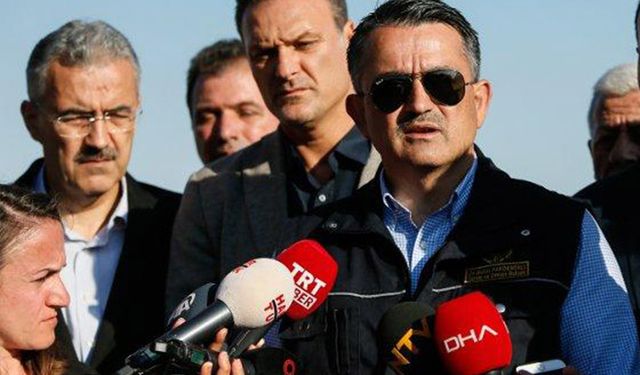 Antalya orman yangını kontrol altına alındı