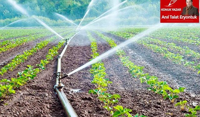 Aydın'da çiftçinin sulama sayısı düştü ücreti arttı!