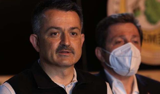 Bekir Pakdemirli 298 orman yangınından 297'si kontrol altına alındı!