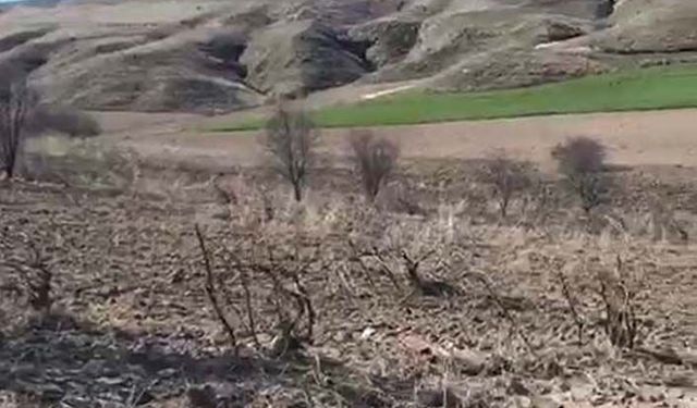 Boş arazilere organik tarım sertifikası iddiası! Bakanlık bu belgeleri nasıl veriyor?