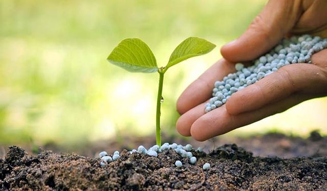 Çiftçinin gübreyle imtihanı! DAP gübresine 400 lira zam geldi!
