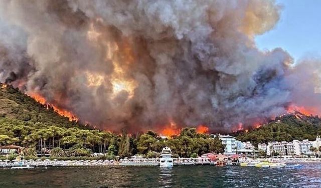 Marmaris'teki yangın arıcılığa büyük darbe vurdu!
