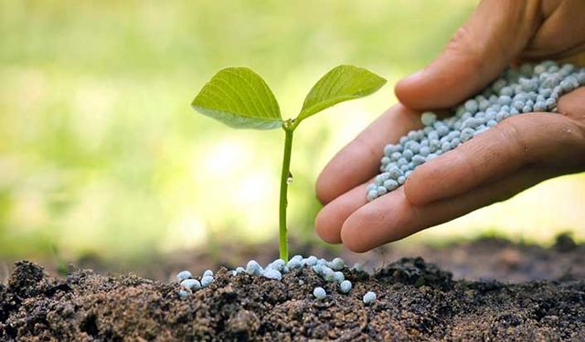 Rekabet Kurumu’ndan 7 gübre firmasına soruşturma açıldı!