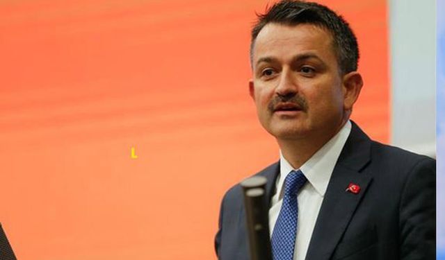 Tarım Bakanı Pakdemirli’den arıcılık destek açıklaması