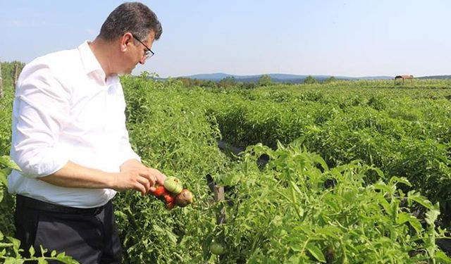 Tarım İl Müdürü’nden ilaç uyarısı