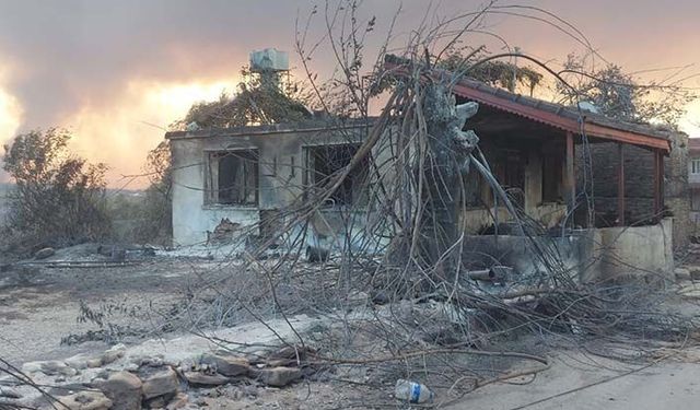 TARSİM yangın ve sel bölgesinden yapılan ihbar sayısını açıkladı