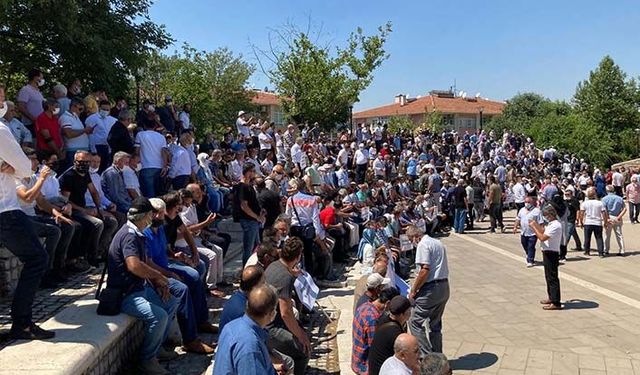 Tavuk üreticileri de Tarım Bakanlığından umudu kesti Cumhurbaşkanından çözüm bekliyor!