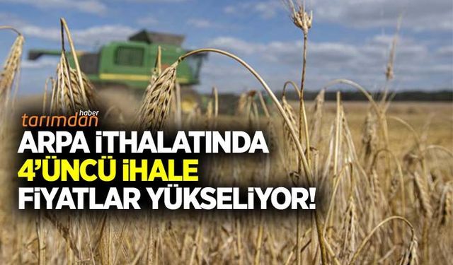 TMO 4’ncü arpa ithalat ihalesini yaptı! Rakamlar arttı!