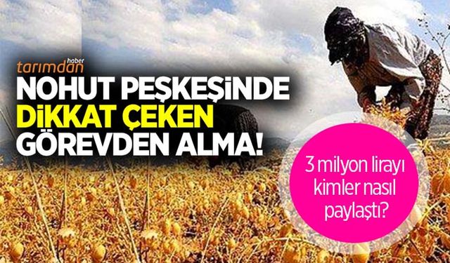 Türkşeker Tarım'da nohut peşkeşinin üstü böyle örtülecek!