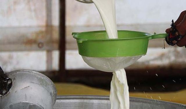 Birlik başkanları süt fiyatlarından dert yandı! Bu fiyatlarla hayvancılık yapılmaz!