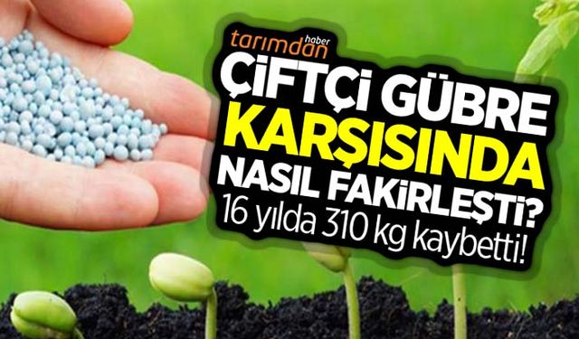 Çiftçi gübre karşısında nasıl fakirleşti? 16 yılda 310 kg kaybetti!
