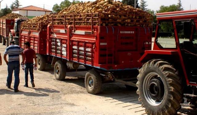 Erbakan'ın fabrikasında pancar alımı başladı