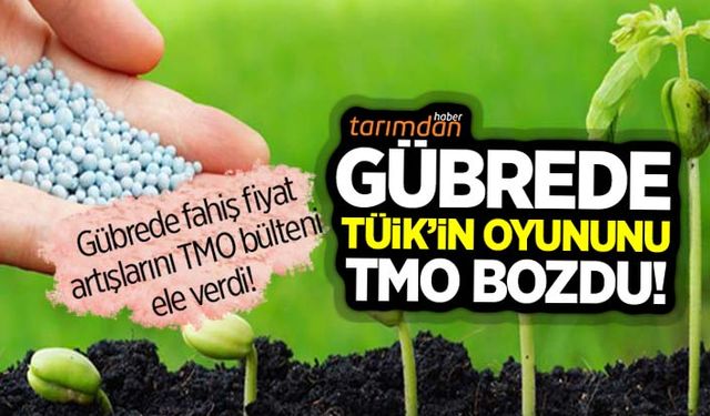 Gübrede TÜİK'in oyununu TMO bozdu!