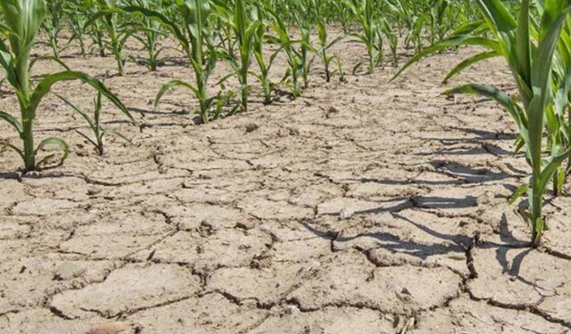 Kuraklık tespiti yapılmayan köylerde destek endişesi!