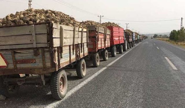 Pancar üreticisi nakliye ücretinden mağdur!