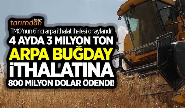 TMO 6'ncı arpa ithalat ihalesini onayladı? 304 dolardan 260 bin ton ithalat yapılacak!