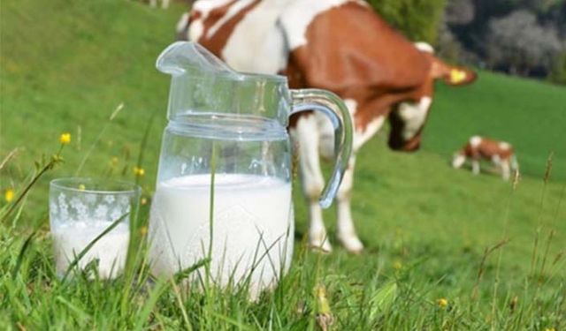 Çiğ süt destekleri nihayet ödeniyor!