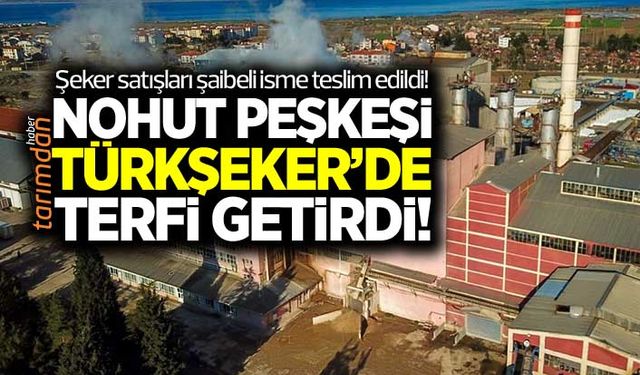 Nohut peşkeşi Türkşeker'de terfi getirdi! Şeker satışları şaibeli isme teslim edildi!